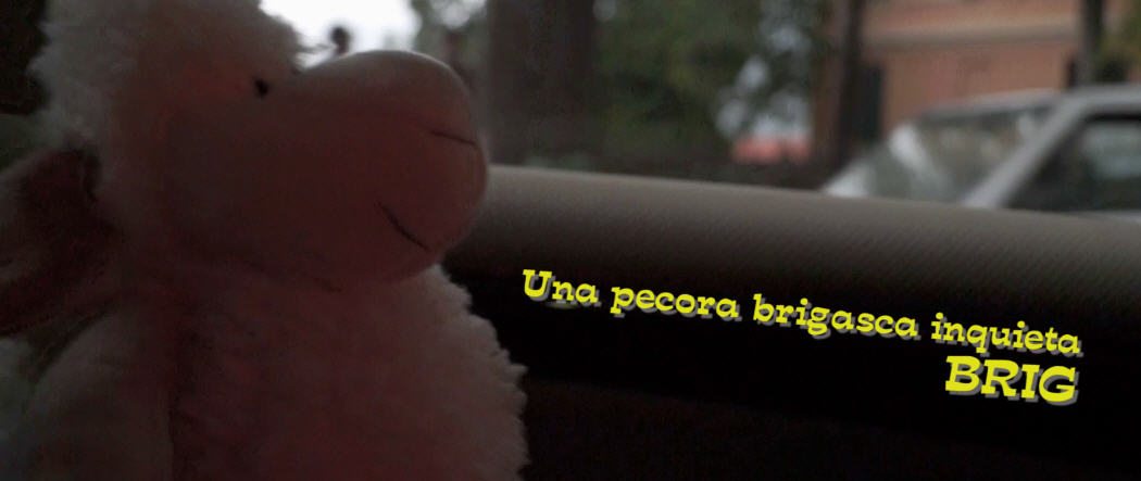 The story of the brigasca sheep that disappears, to visit Europe