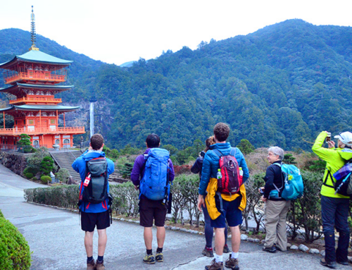 Un viaggio memorabile con noi in Giappone, dal 10 al 25 Aprile