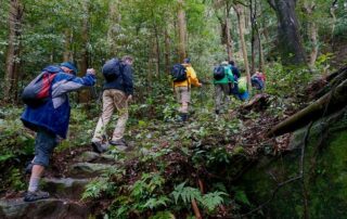Kumano Kodo Trail