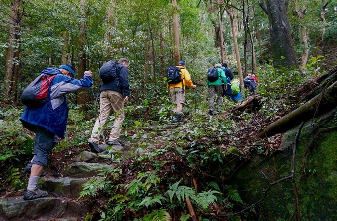 Kumano Kodo Trail